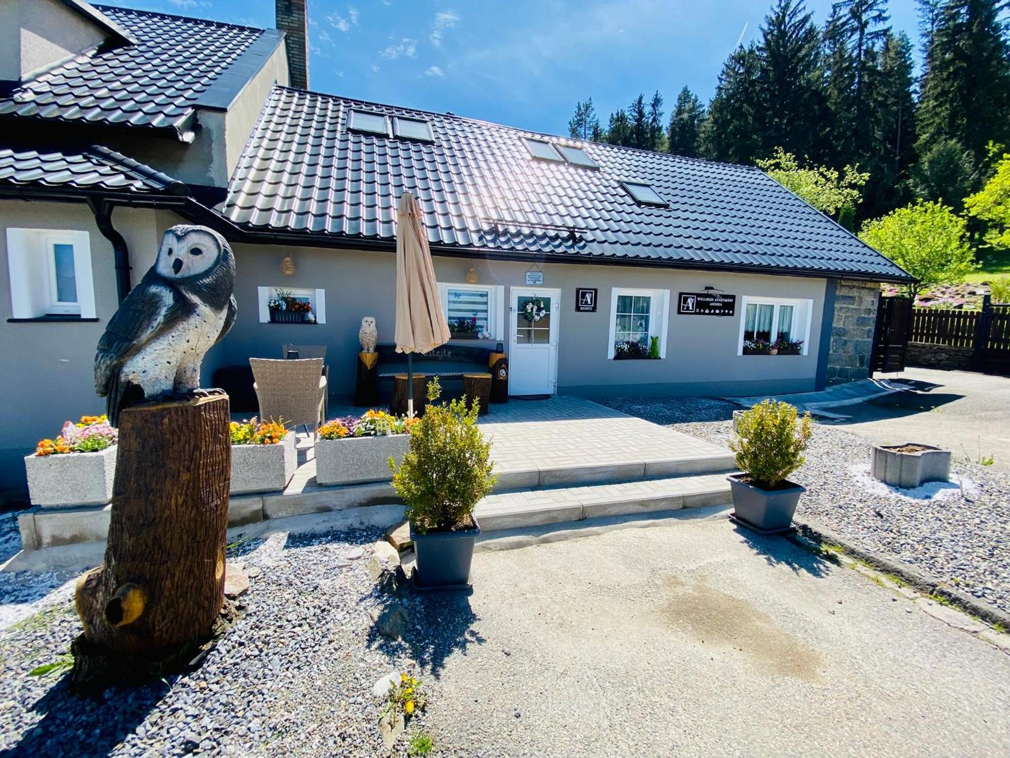 Wellness Apartmány Andrea Zdíkov Exterior foto